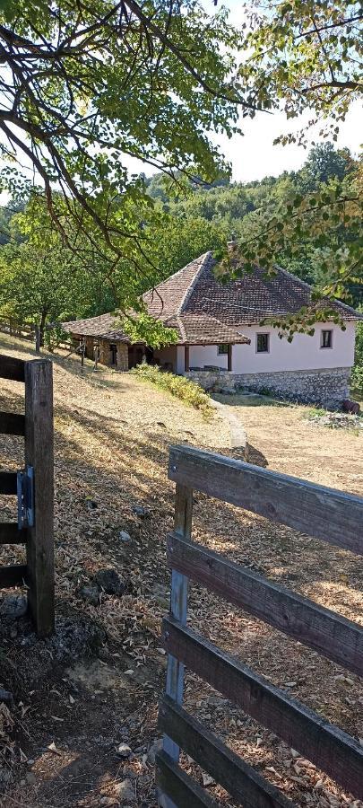 Poljoprivredno Turisticko Domacinstvo Deguric Leilighet Valjevo Eksteriør bilde
