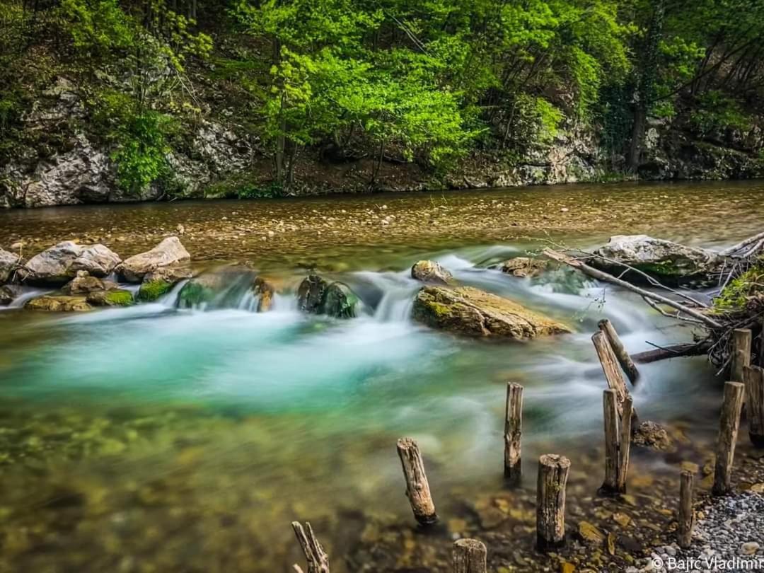 Poljoprivredno Turisticko Domacinstvo Deguric Leilighet Valjevo Eksteriør bilde