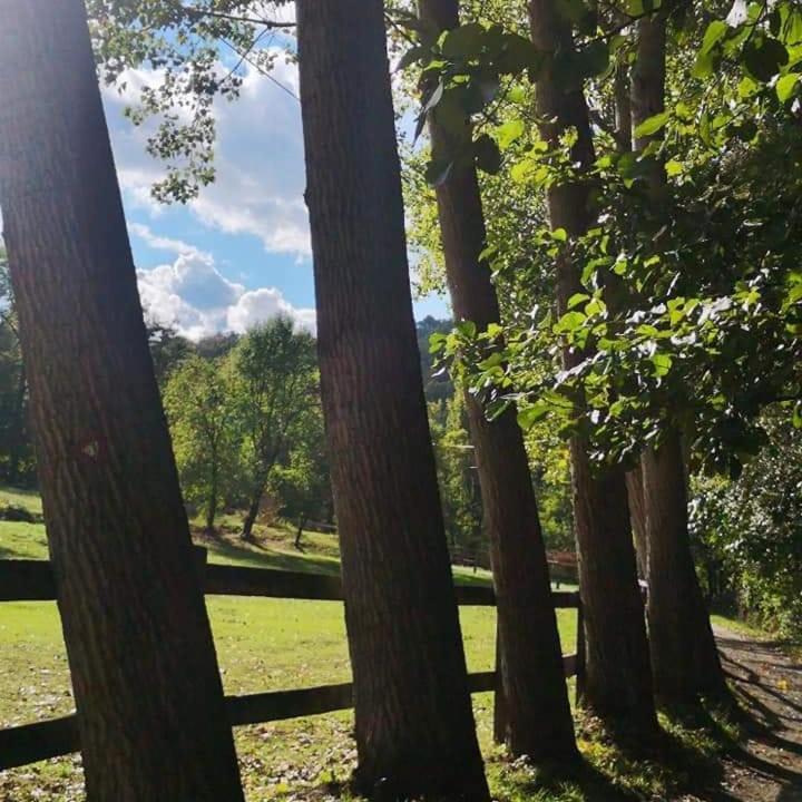 Poljoprivredno Turisticko Domacinstvo Deguric Leilighet Valjevo Eksteriør bilde