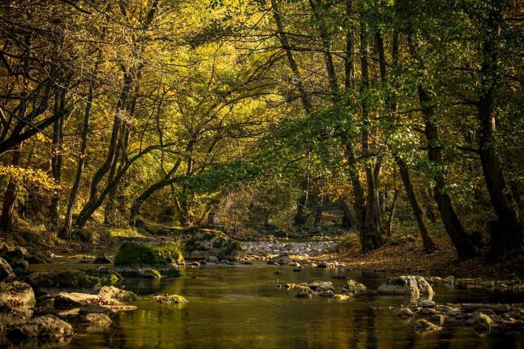 Poljoprivredno Turisticko Domacinstvo Deguric Leilighet Valjevo Eksteriør bilde