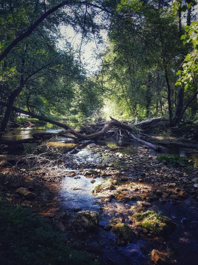 Poljoprivredno Turisticko Domacinstvo Deguric Leilighet Valjevo Eksteriør bilde